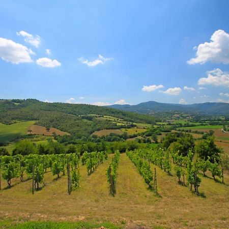 Holiday Home Montebello By Interhome Monterchi エクステリア 写真